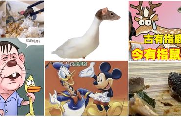 Rat meme collage