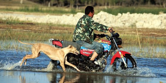 Man riding with scooter